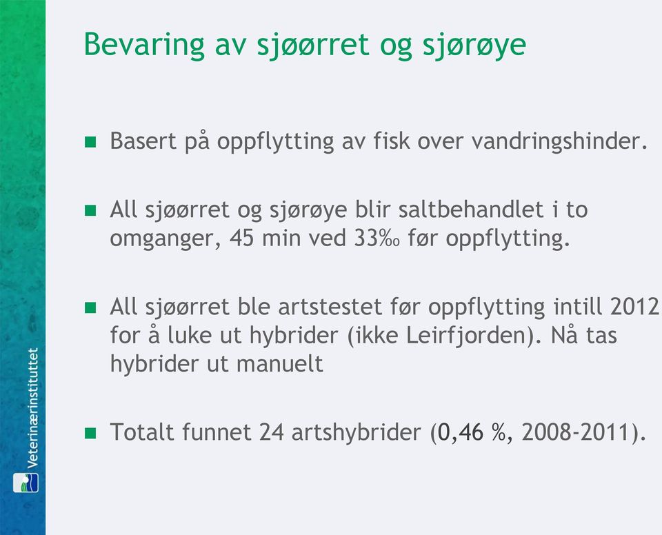 All sjøørret ble artstestet før oppflytting intill 2012 for å luke ut hybrider (ikke