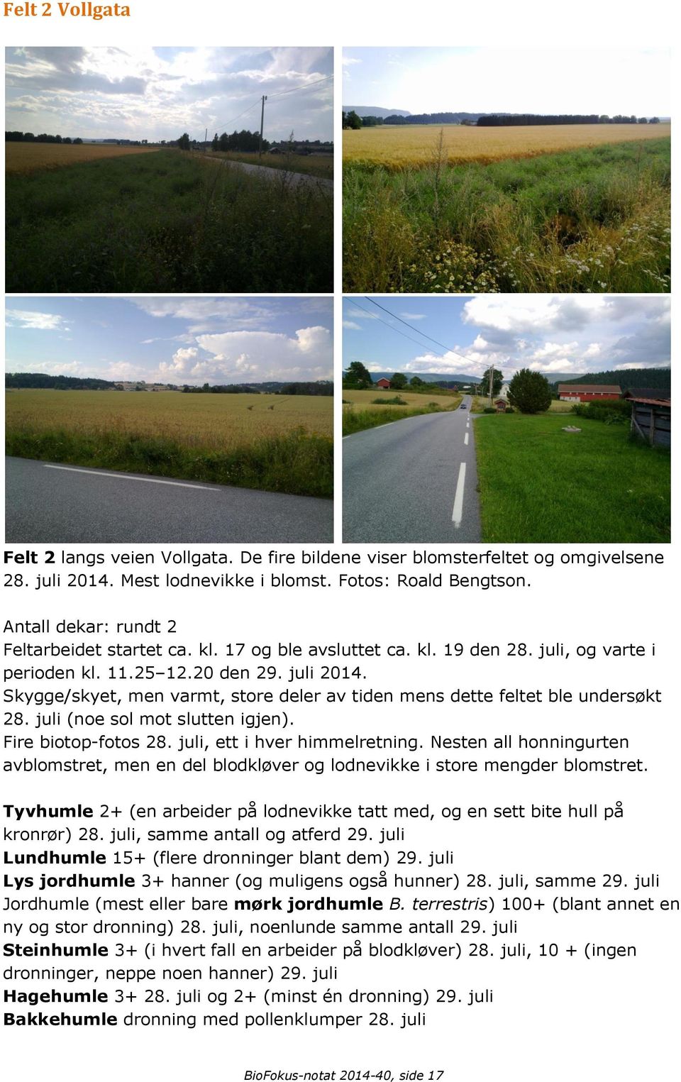 Skygge/skyet, men varmt, store deler av tiden mens dette feltet ble undersøkt 28. juli (noe sol mot slutten igjen). Fire biotop-fotos 28. juli, ett i hver himmelretning.