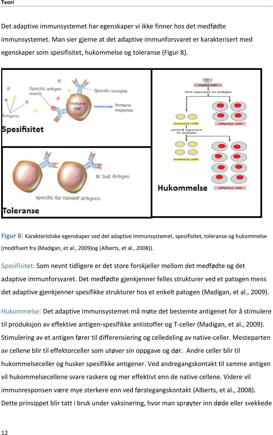 Figur 8: Karakteristiske egenskaper ved det adaptive immunsystemet, spesifisitet, toleranse og hukommelse (modifisert fra (Madigan, et al., 2009)og (Alberts, et al., 2008)).