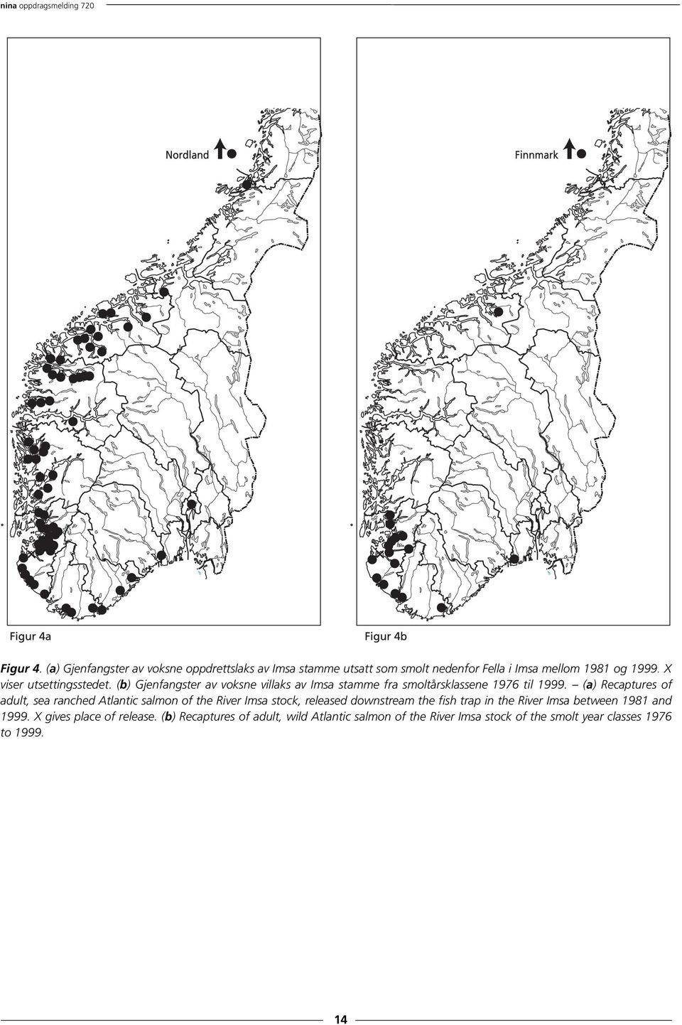 X viser utsettingsstedet. (b) Gjenfangster av voksne villaks av Imsa stamme fra smoltårsklassene 1976 til 1999.