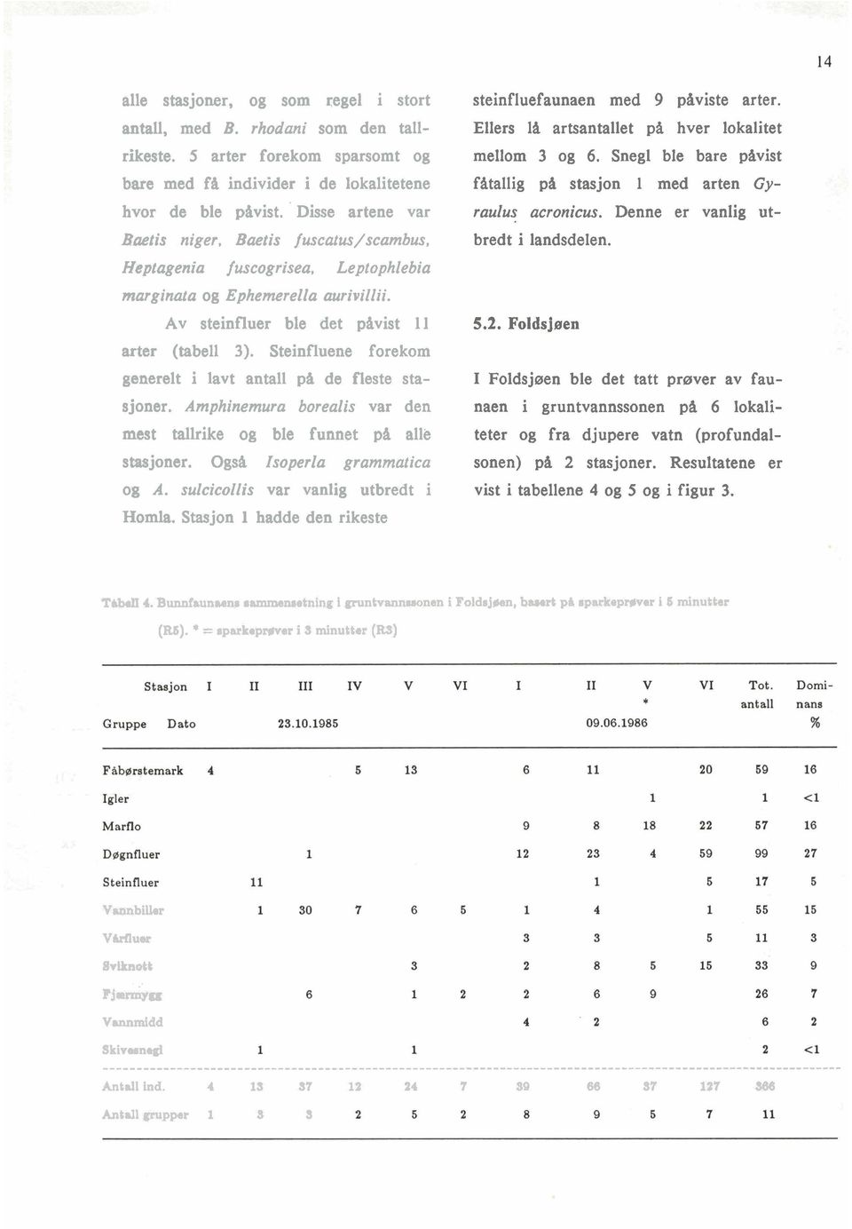 Steinfluene forekom generelt i lavt antall pfi de fleste stasjoner. Amphinemurn borealis var den mest tallrike og ble funnet pi alle stasjoner. Og& Isoperla grammatica og A.