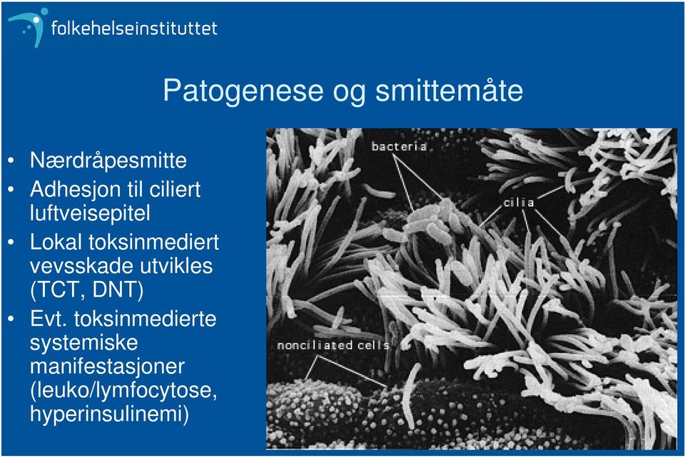 Evt. toksinmedierte systemiske manifestasjoner