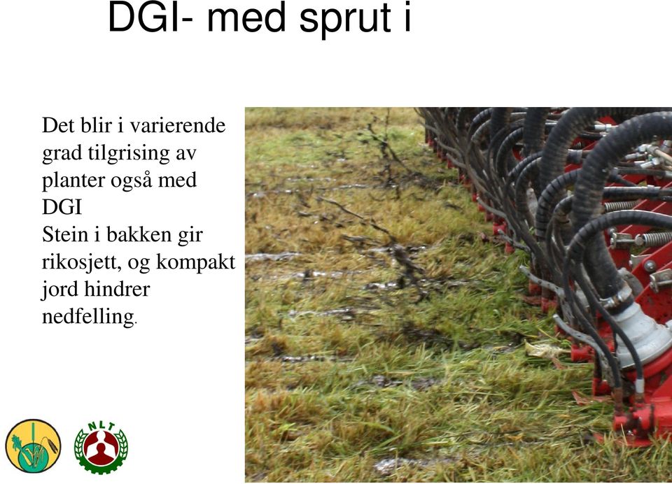 planter også med DGI Stein i bakken