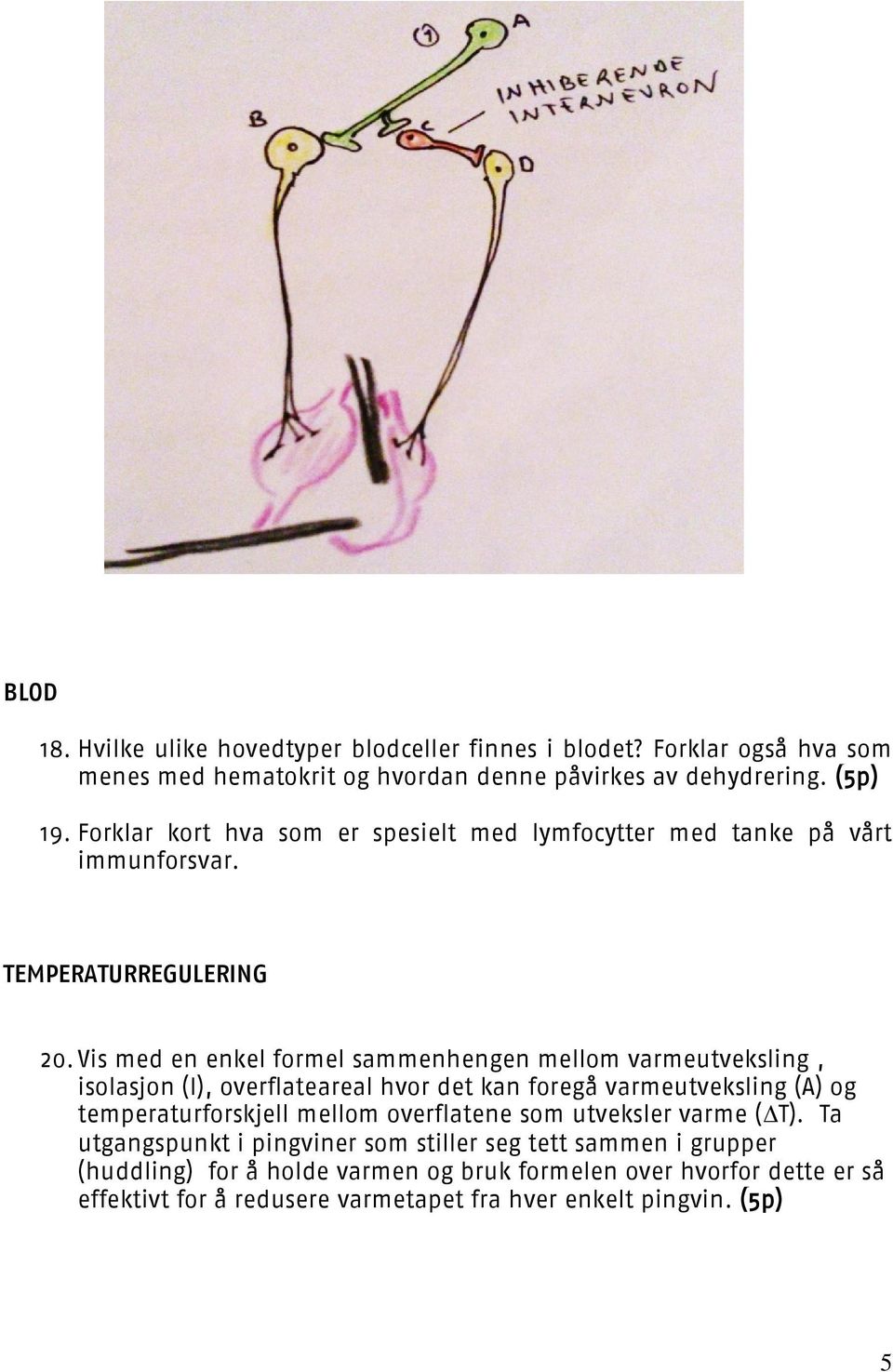 Vis med en enkel formel sammenhengen mellom varmeutveksling, isolasjon (I), overflateareal hvor det kan foregå varmeutveksling (A) og temperaturforskjell mellom