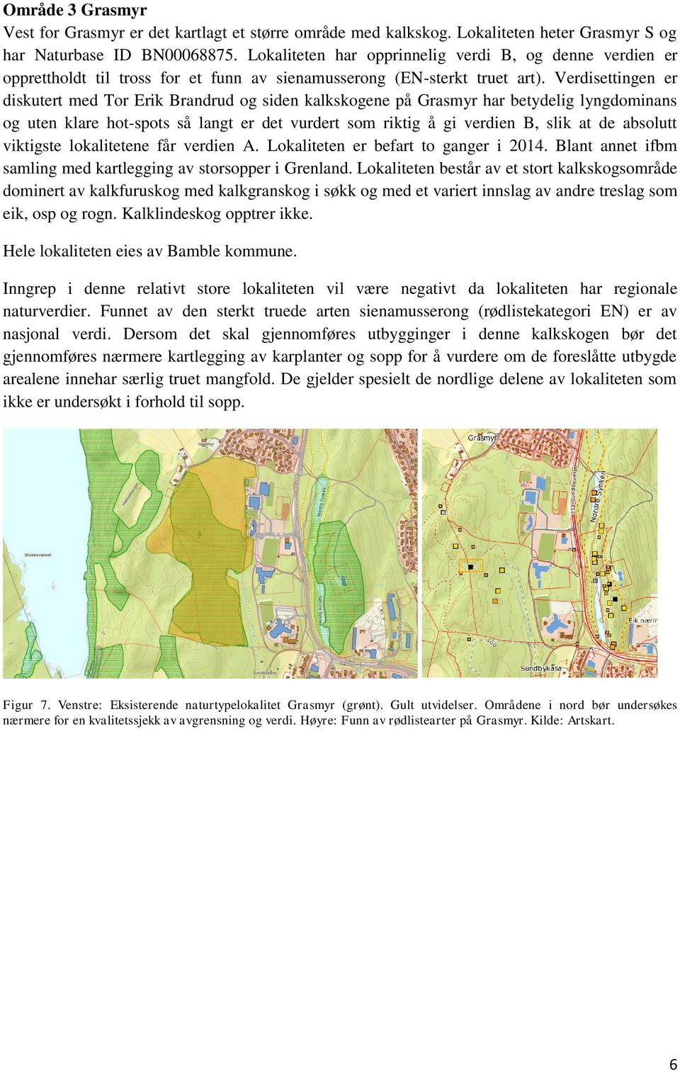 Verdisettingen er diskutert med Tor Erik Brandrud og siden kalkskogene på Grasmyr har betydelig lyngdominans og uten klare hot-spots så langt er det vurdert som riktig å gi verdien B, slik at de