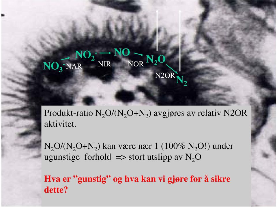 N 2 O/(N 2 O+N 2 ) kan være nær 1 (100% N 2 O!