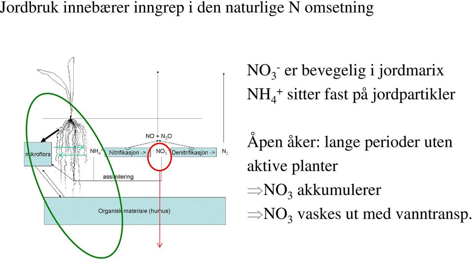 sitter fast på jordpartikler Åpen åker: lange