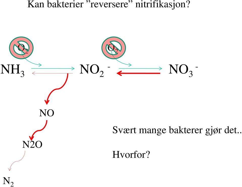 O 2 O 2 NH 3 NO 2 - NO 3 -