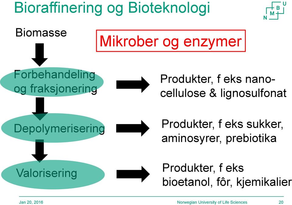 & lignosulfonat Depolymerisering Valorisering Produkter, f eks