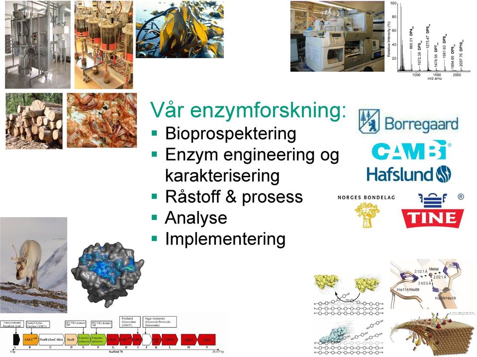 engineering og