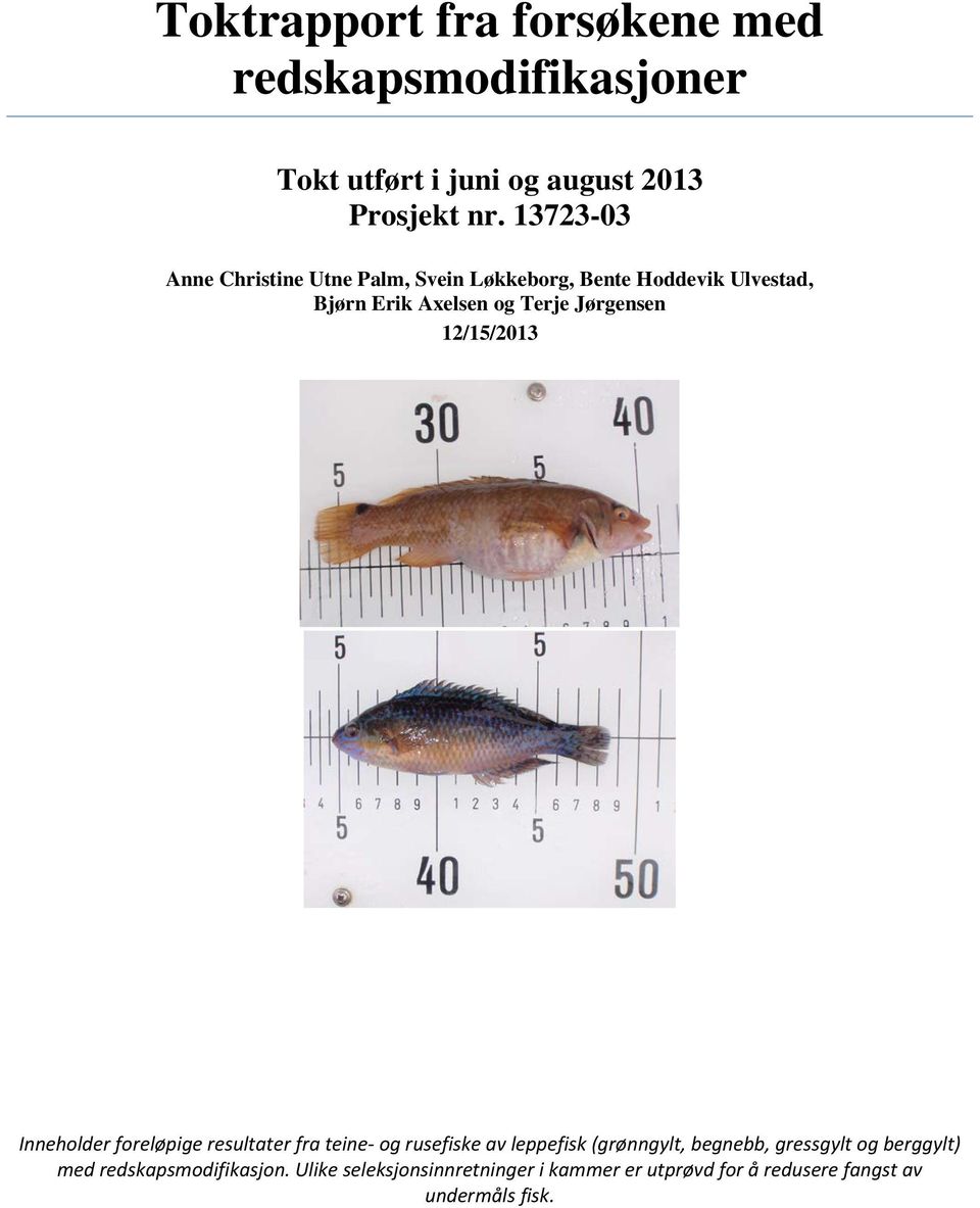 Jørgensen 12/15/2013 Inneholder foreløpige resultater fra teine- og rusefiske av leppefisk (grønngylt, begnebb,