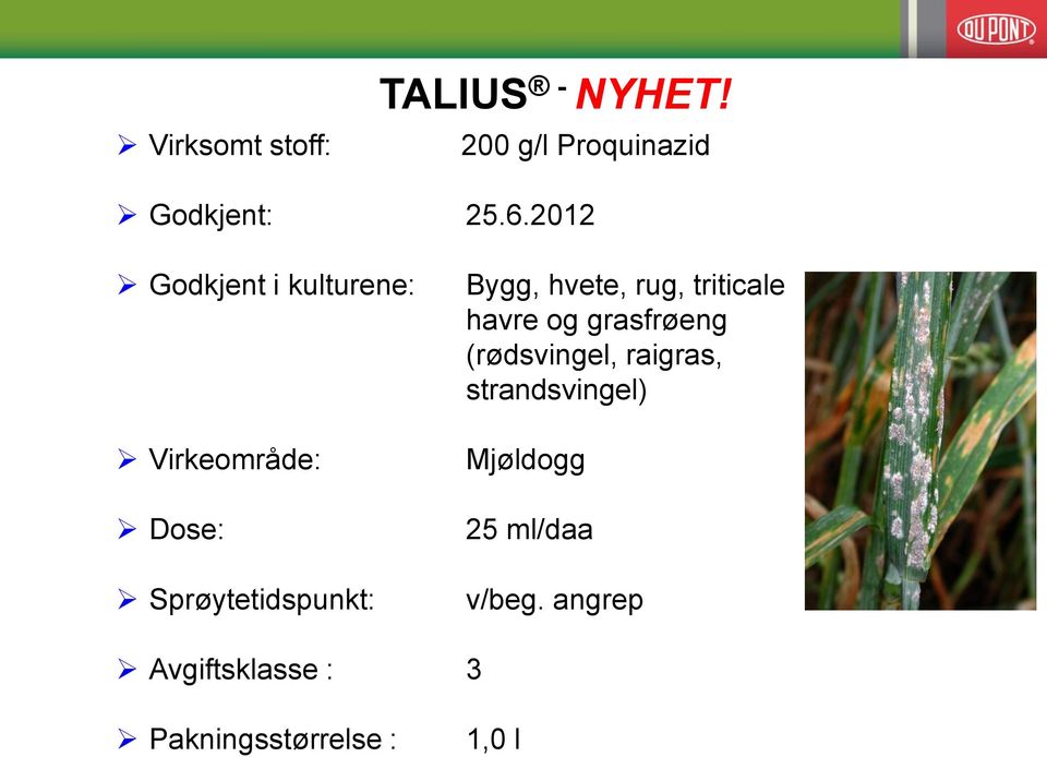 hvete, rug, triticale havre og grasfrøeng (rødsvingel, raigras,