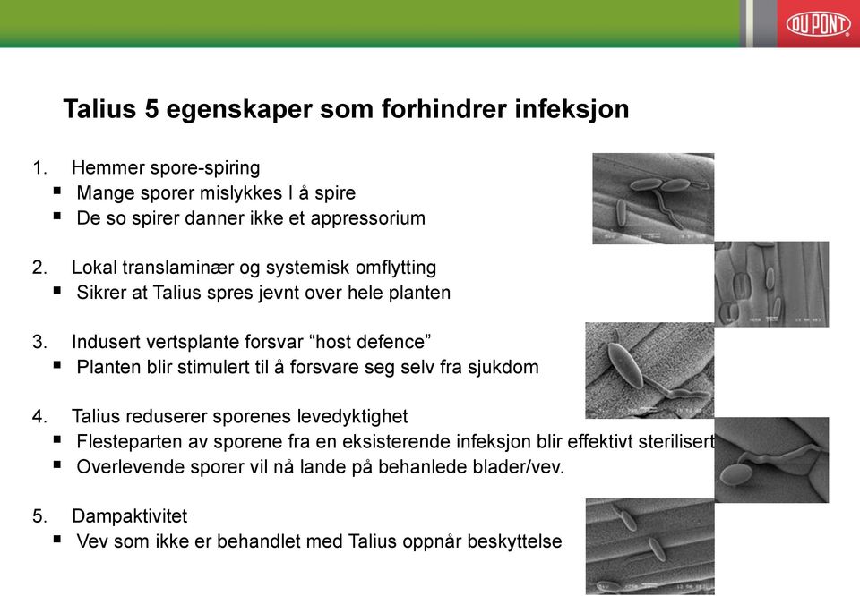 Indusert vertsplante forsvar host defence Planten blir stimulert til å forsvare seg selv fra sjukdom 4.