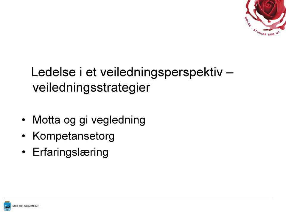 veiledningsstrategier Motta