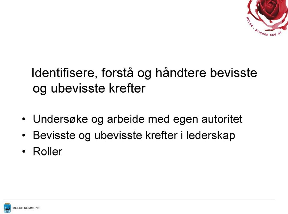 Undersøke og arbeide med egen