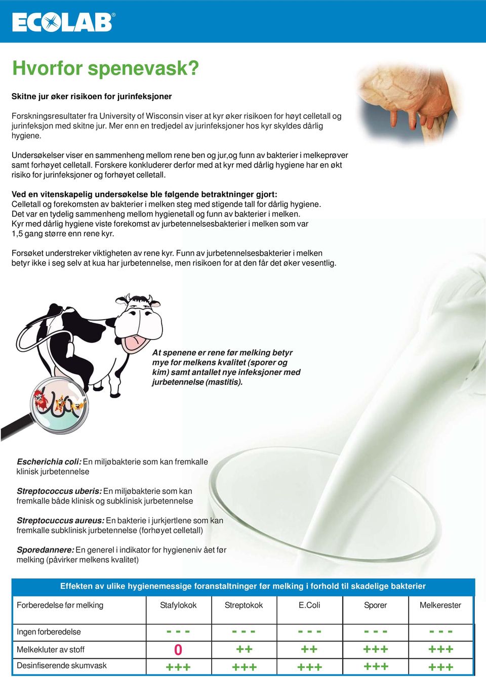 Forskere konkluderer derfor med at kyr med dårlig hygiene har en økt risiko for jurinfeksjoner og forhøyet celletall.