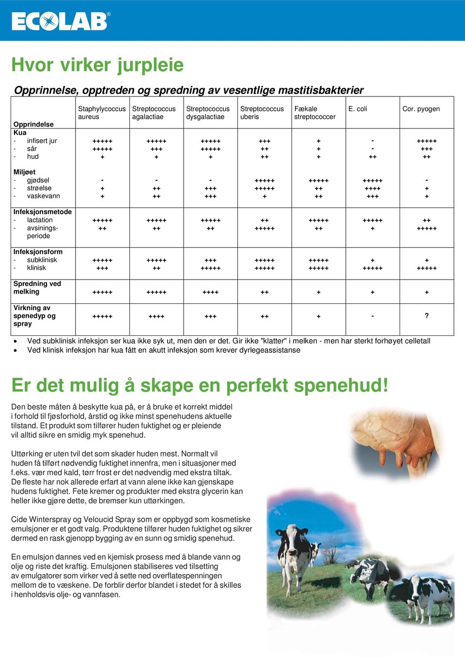 pyogen Miljøet gjødsel strøelse vaskevann Infeksjonsmetode lactation avsiningsperiode Infeksjonsform subklinisk klinisk Spredning ved melking Virkning av spenedyp og spray?