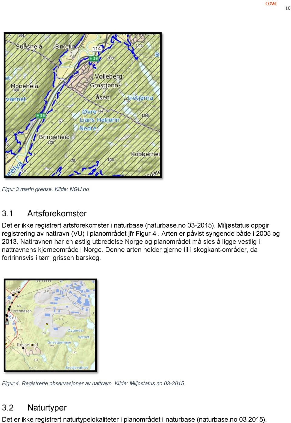 Nattravnen har en østlig utbredelse Norge og planområdet må sies å ligge vestlig i nattravnens kjerneområde i Norge.