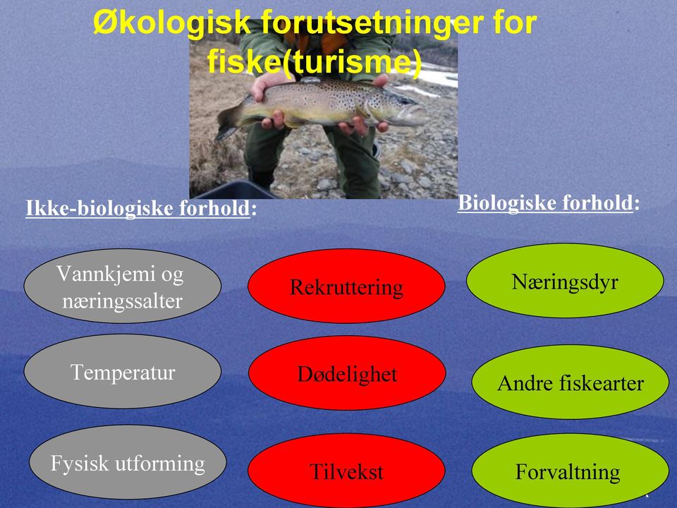 Vannkjemi og næringssalter Rekruttering Næringsdyr