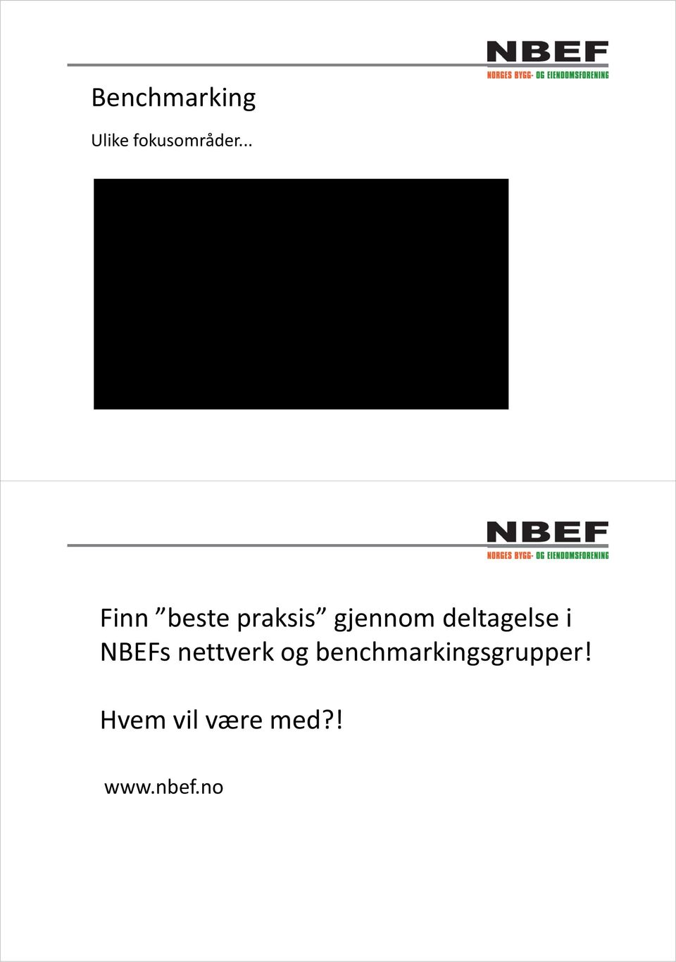 deltagelse i NBEFs nettverk og