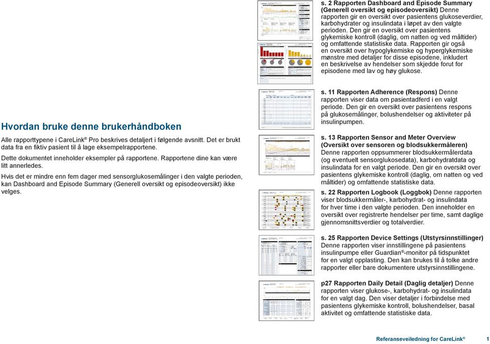 Rapporten gir også en oversikt over hypoglykemiske og hyperglykemiske mønstre med detaljer for disse episodene, inkludert en beskrivelse av hendelser som skjedde forut for episodene med lav og høy
