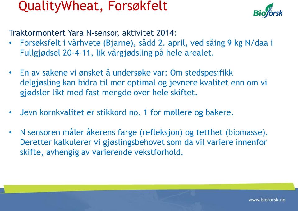 En av sakene vi ønsket å undersøke var: Om stedspesifikk delgjøsling kan bidra til mer optimal og jevnere kvalitet enn om vi gjødsler likt med fast