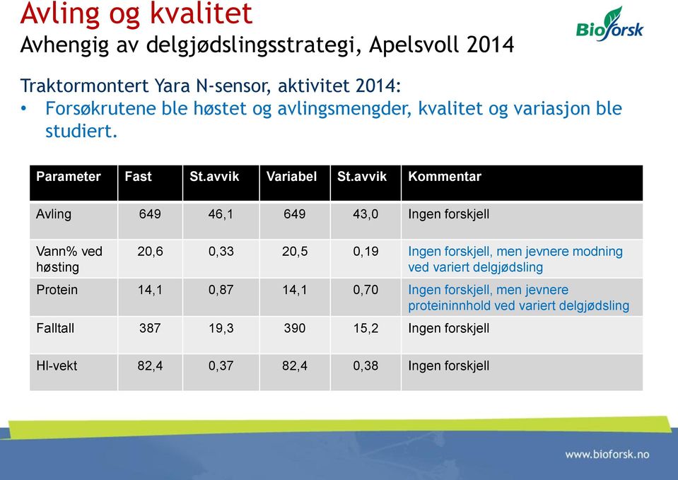 avvik Kommentar Avling 649 46,1 649 43,0 Ingen forskjell Vann% ved høsting 20,6 0,33 20,5 0,19 Ingen forskjell, men jevnere modning ved