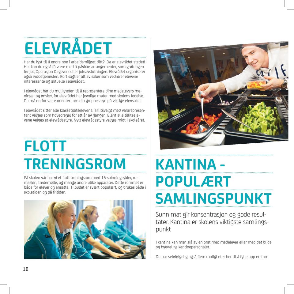 Kort sagt er alt av saker som vedrører elevene interessante og aktuelle i elevrådet.