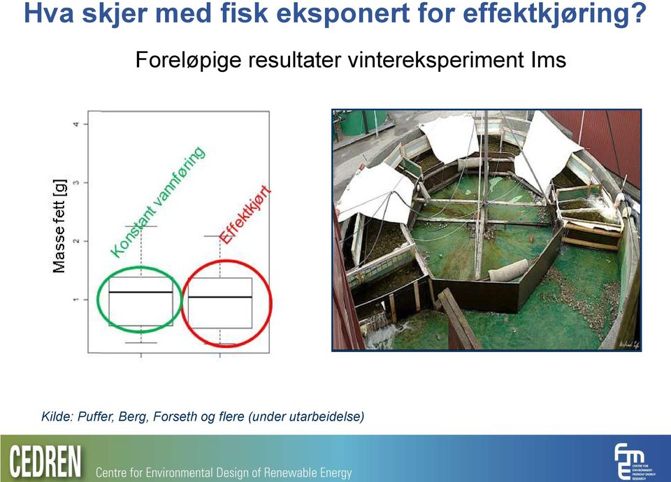 Foreløpige resultater