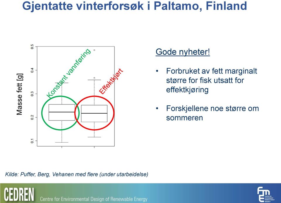 Forbruket av fett marginalt større for fisk utsatt for