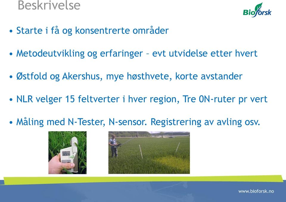 høsthvete, korte avstander NLR velger 15 feltverter i hver region,