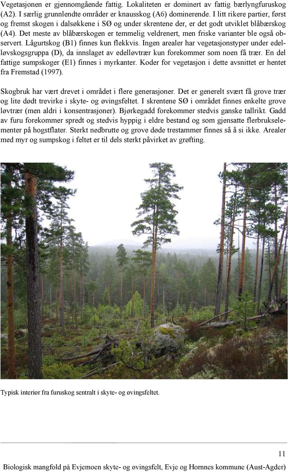 Det meste av blåbærskogen er temmelig veldrenert, men friske varianter ble også observert. Lågurtskog (B1) finnes kun flekkvis.