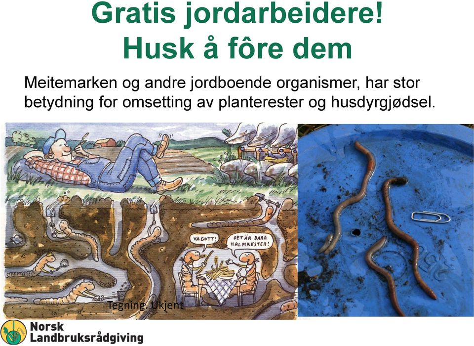 jordboende organismer, har stor