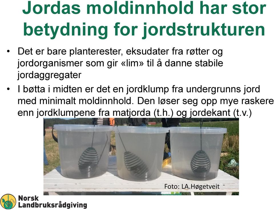 bøtta i midten er det en jordklump fra undergrunns jord med minimalt moldinnhold.