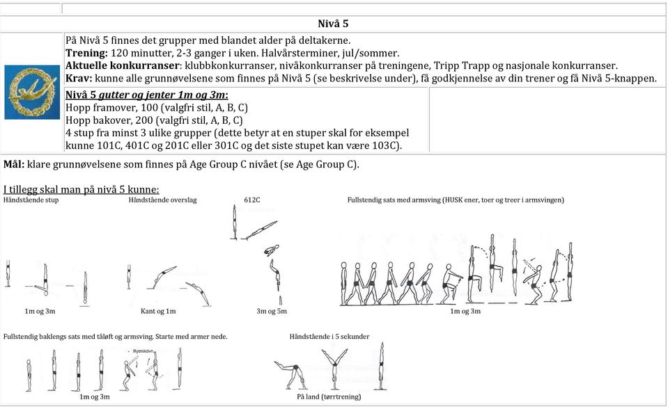Krav: kunne alle grunnøvelsene som finnes på Nivå 5 (se beskrivelse under), få godkjennelse av din trener og få Nivå 5-knappen.