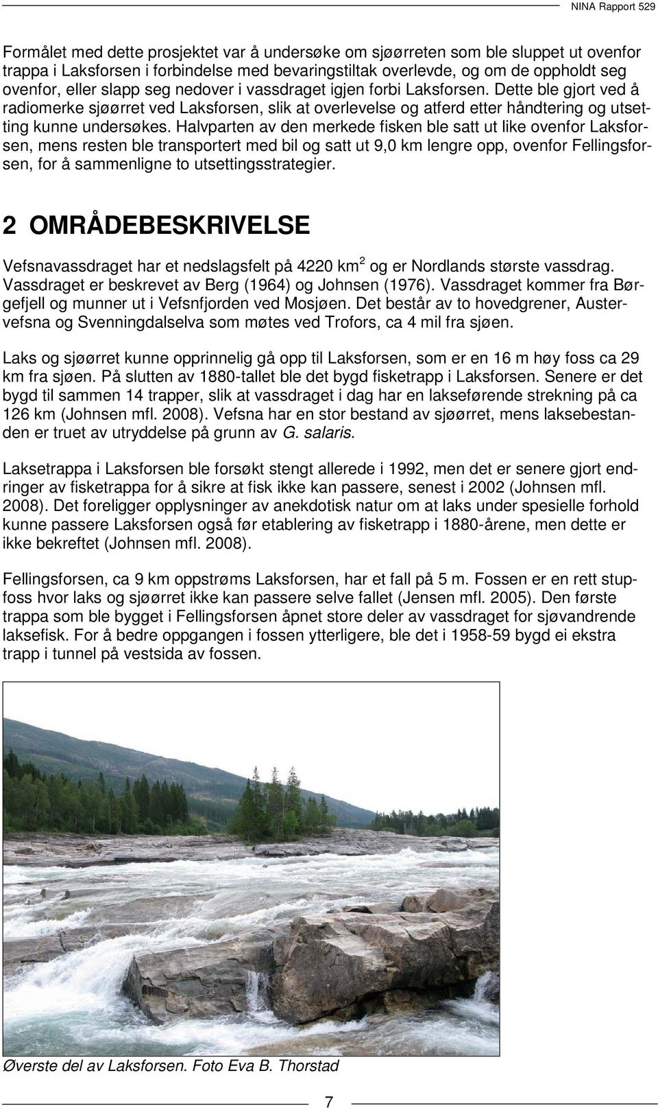 Halvparten av den merkede fisken ble satt ut like ovenfor Laksforsen, mens resten ble transportert med bil og satt ut 9,0 km lengre opp, ovenfor Fellingsforsen, for å sammenligne to