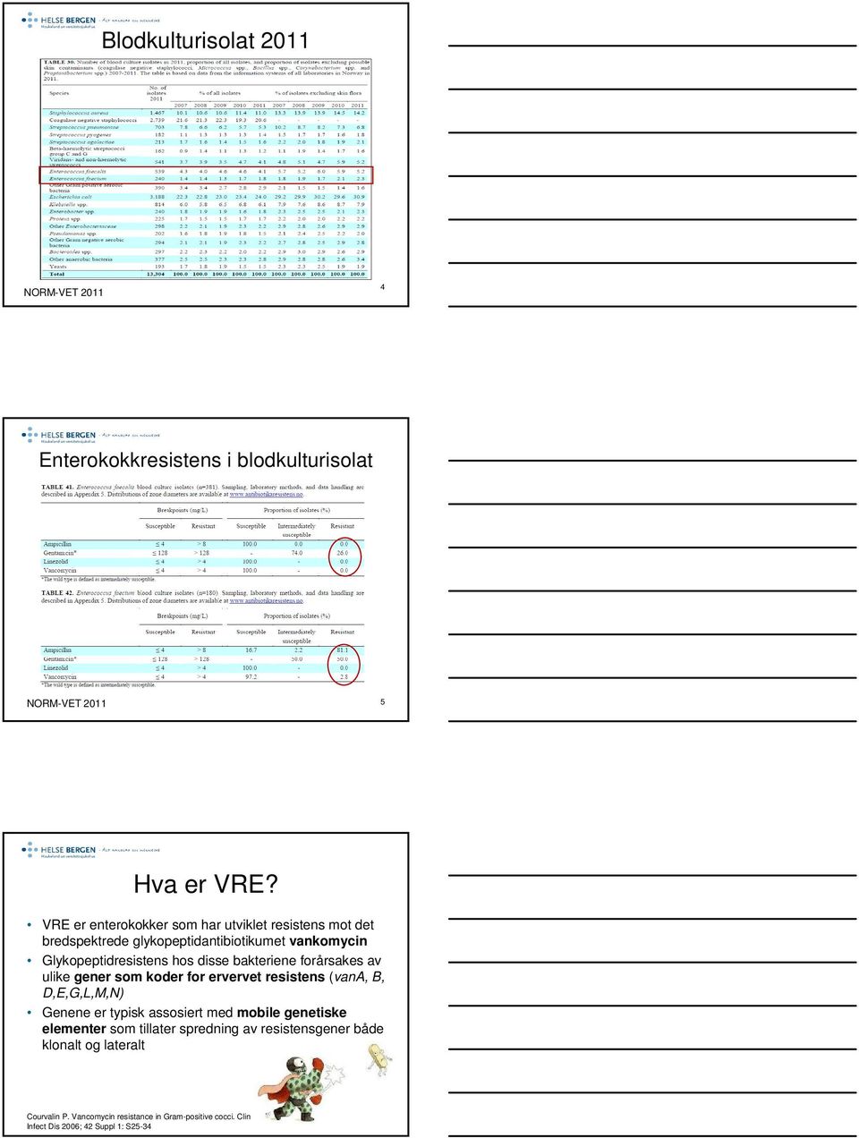 bakteriene forårsakes av ulike gener som koder for ervervet resistens (vana, B, D,E,G,L,M,N) Genene er typisk assosiert med mobile