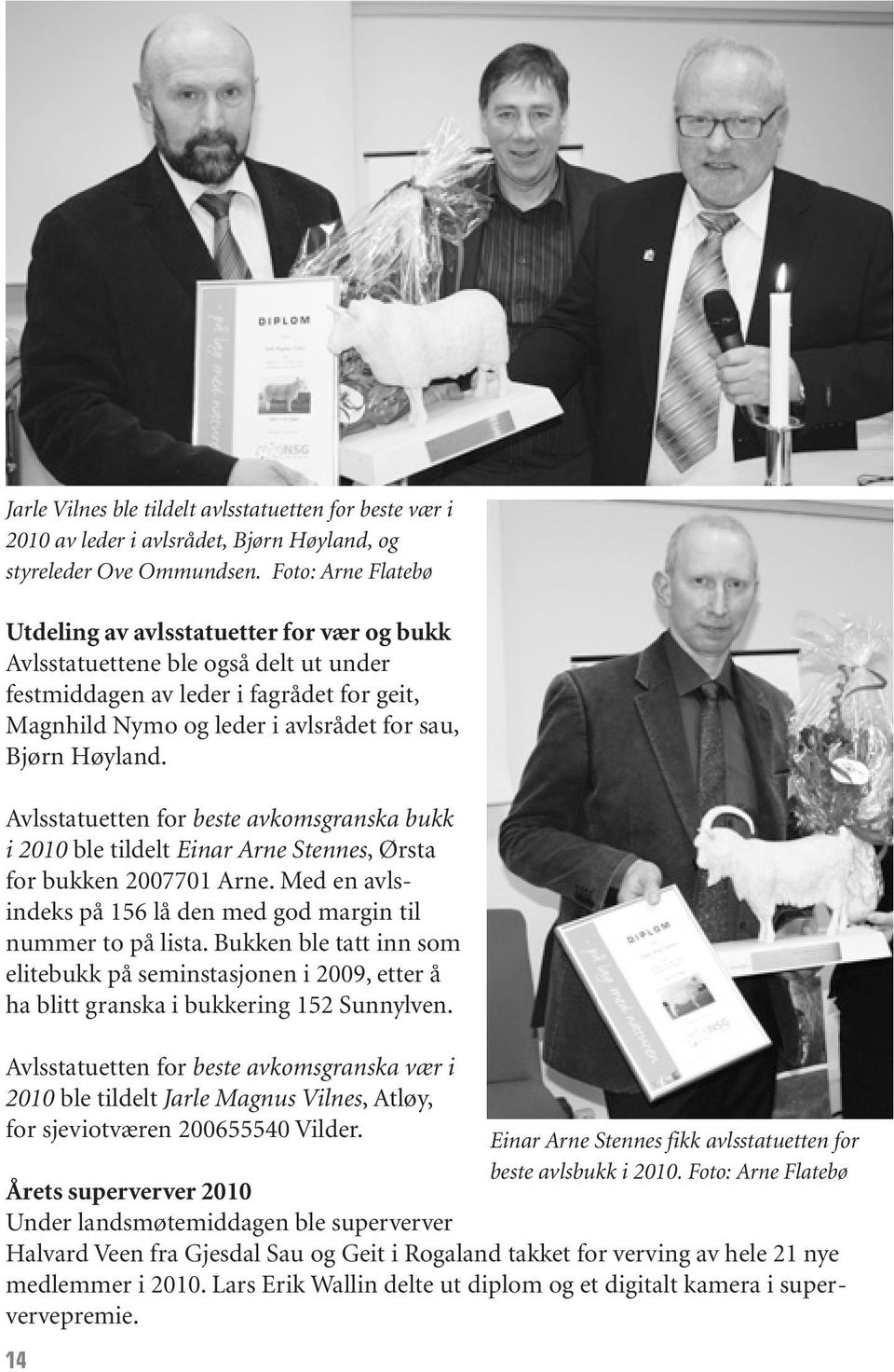 Høyland. Avlsstatuetten for beste avkomsgranska bukk i 2010 ble tildelt Einar Arne Stennes, Ørsta for bukken 2007701 Arne. Med en avls - indeks på 156 lå den med god margin til nummer to på lista.
