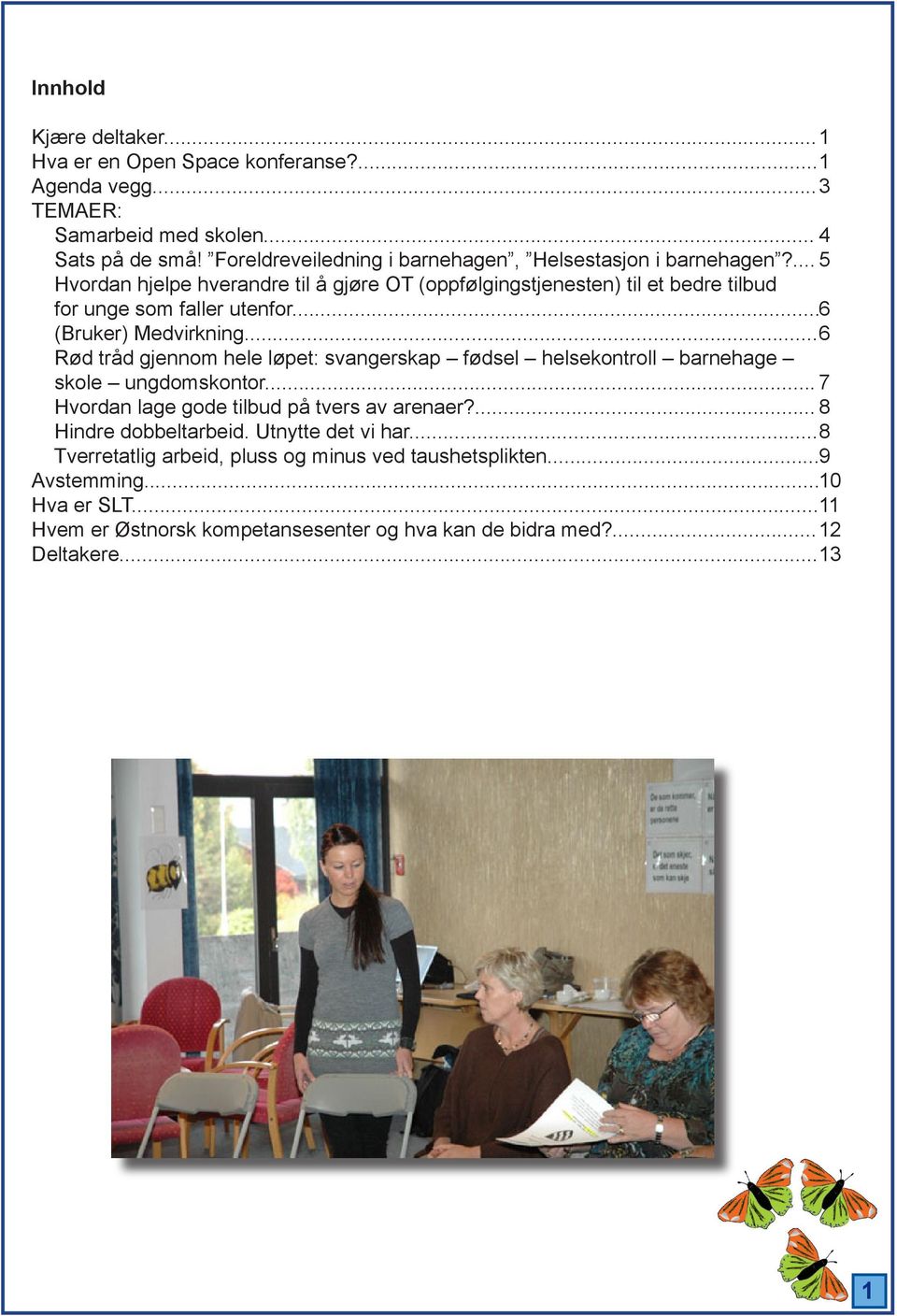 .. 6 (Bruker) Medvirkning... 6 Rød tråd gjennom hele løpet: svangerskap fødsel helsekontroll barnehage skole ungdomskontor... 7 Hvordan lage gode tilbud på tvers av arenaer?