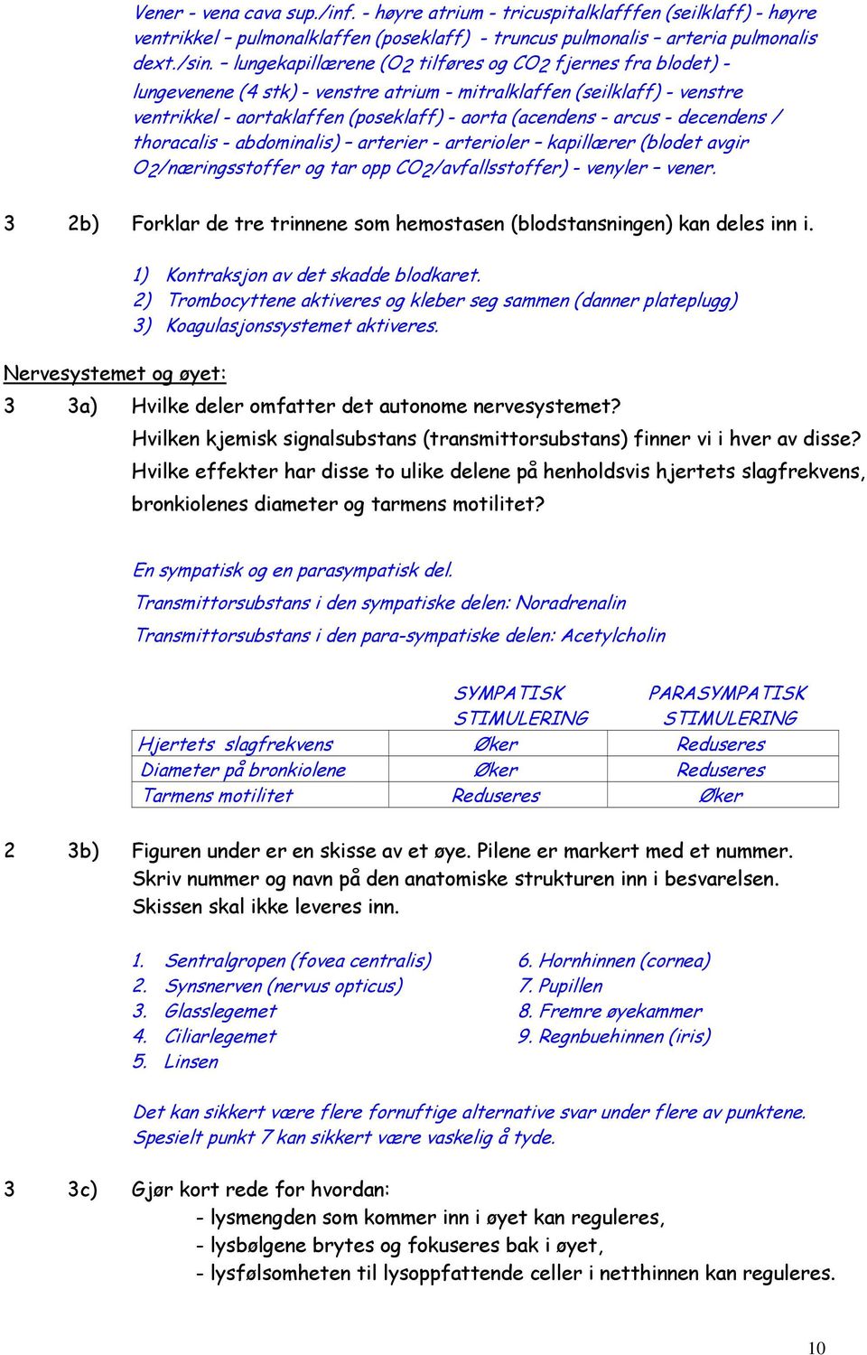 decendens / thoracalis - abdominalis) arterier - arterioler kapillærer (blodet avgir O2/næringsstoffer og tar opp CO2/avfallsstoffer) - venyler vener.