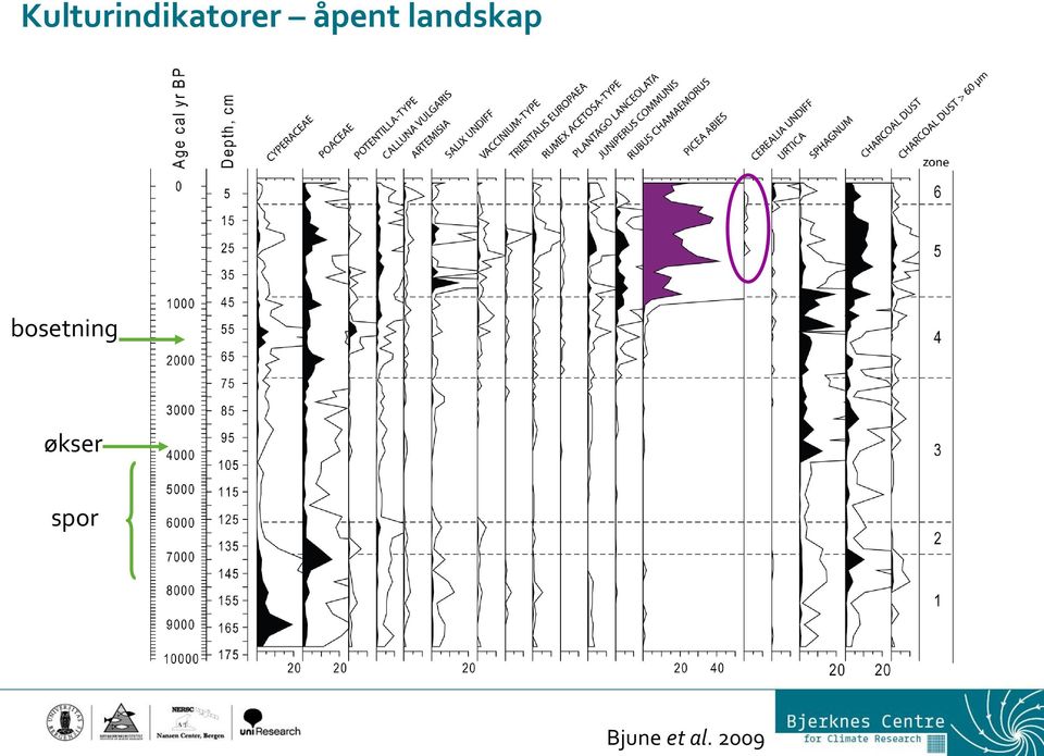 bosetning økser