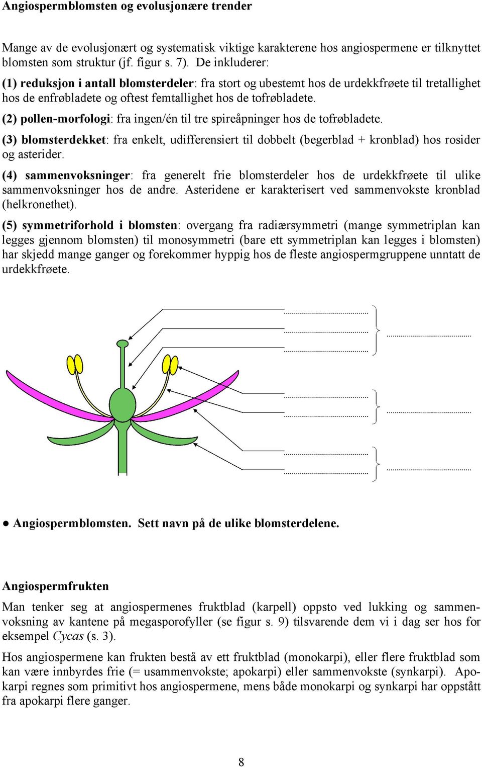 (2) pollen-morfologi: fra ingen/én til tre spireåpninger hos de tofrøbladete. (3) blomsterdekket: fra enkelt, udifferensiert til dobbelt (begerblad + kronblad) hos rosider og asterider.