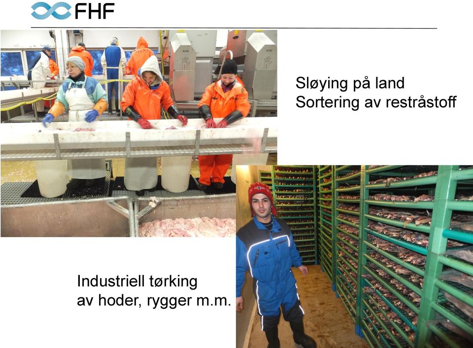 m. Sløying på land