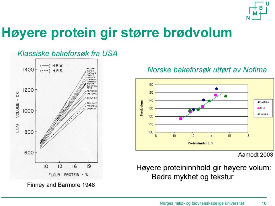 Barmore 1948 Høyere proteininnhold gir høyere volum: Bedre