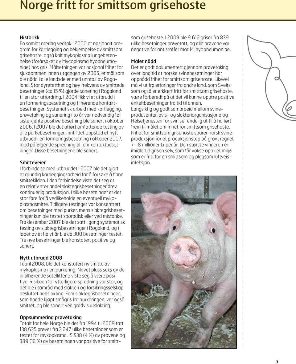 Stor dyretetthet og høy frekvens av smittede besetninger (ca 15 %) gjorde sanering i Rogaland til en stor utfordring.