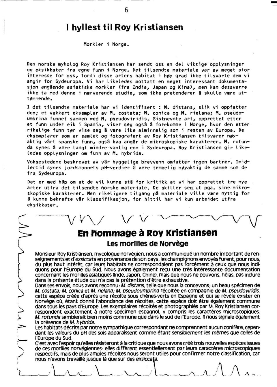 Vi har Likeledes mottatt en meget interessant dokumentasjon angoende asiatiske morkler (fra India, Japan og Kina), men kan dessverre ikke ta med denne i nzrvzrende studie, som ikke pretenderer 0