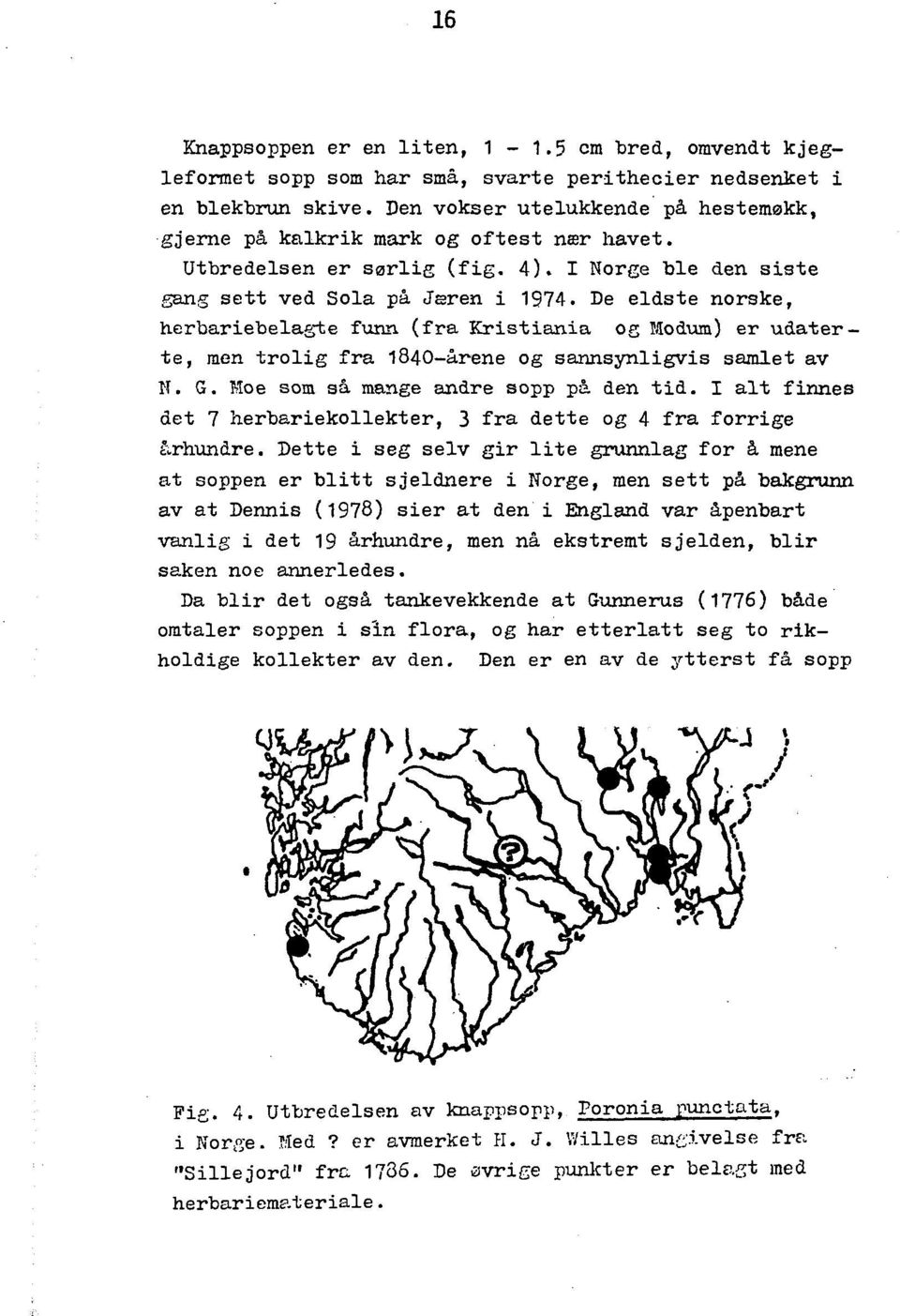 De eldste norske, herbariebelae;te funn (fra Kristiania oe rjiodum) er udaterte, men trolig fra 1840-arene og sannsynligvis samlet av N. G. Moe som sa mange andre sopp pi den tid.
