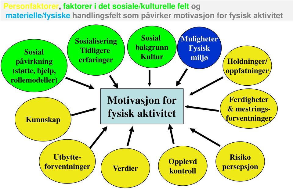 erfaringer Sosial bakgrunn Kultur Muligheter Fysisk miljø Holdninger/ oppfatninger Kunnskap Motivasjon for