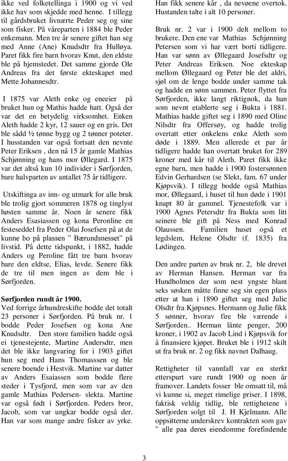 Det samme gjorde Ole Andreas fra det første ekteskapet med Mette Johannesdtr. I 1875 var Aleth enke og eneeier på bruket hun og Mathis hadde hatt. Også der var det en betydelig virksomhet.