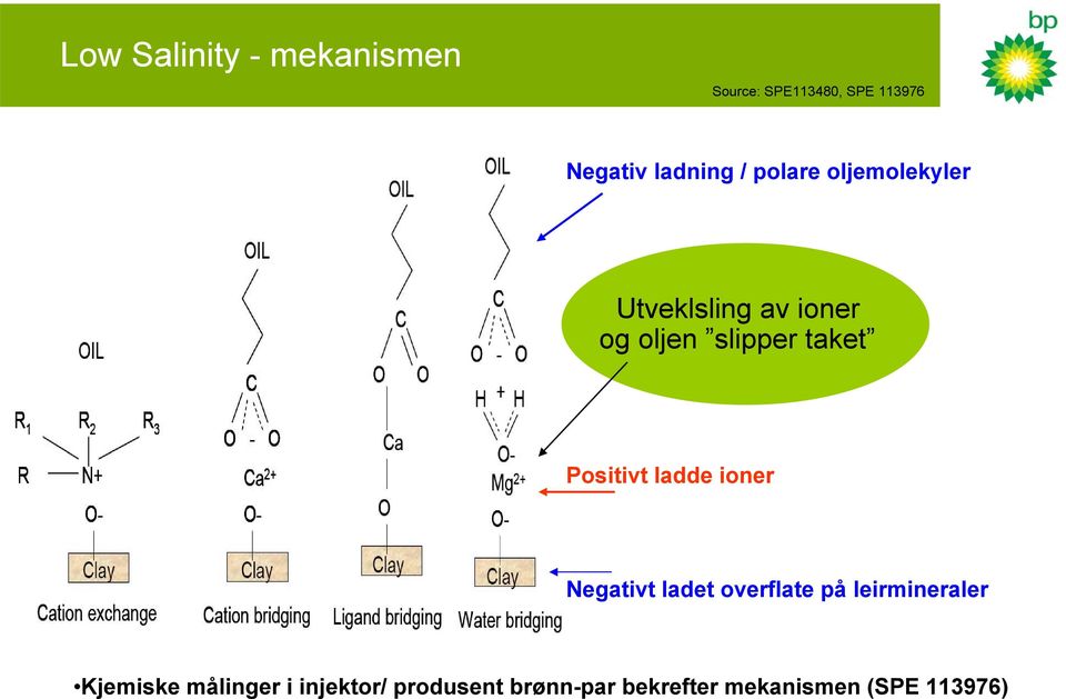 Positivt ladde ioner Negativt ladet overflate på leirmineraler Kjemiske